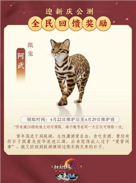 天龙八部私服龙帝